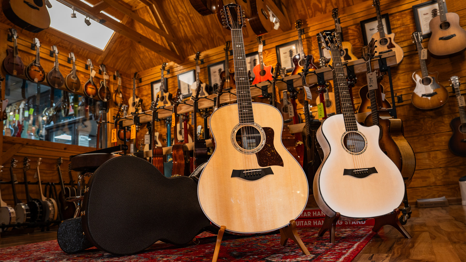 New 50th Anniversary Taylor 614ce LTD and 858e LTD