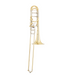 S.E. Shires TBQ36YA Q Series Bass Trombone