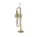 Bach 190L-65GV Professional Bb Trumpet Vindabona - Lacquer