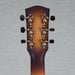 Bedell Revolution Dreadnought Acoustic Guitar - Cocobolo and AD Spruce - Amber Burst - CHUCKSCLUSIVE - #1222001