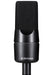 sE Electronics X1 A Large Diaphragm Cardioid Condenser Microphone - New