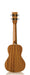 Cordoba 15CM Concert Ukulele