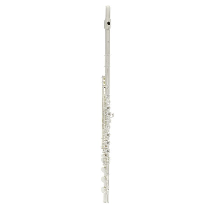 Di Zhao DZ801BOF (700 Series) Solid Silver Flute - Offset G, B Foot