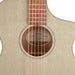 Breedlove Discovery Concert Seaside CE Acoustic Guitar - New