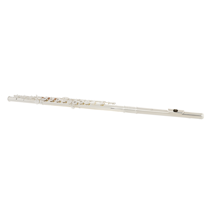 Di Zhao DZ801BOF (700 Series) Solid Silver Flute - Offset G, B Foot