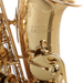 Andreas Eastman EAS850 Professional Alto Saxophone with Case