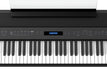 Roland FP-90X Digital Piano - Black - New