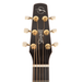 Seagull Artist Mosaic CW HG Anthem EQ Acoustic Guitar - New