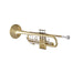 Bach 19043 Stradivarius Professional Bb Trumpet - Clear Lacquer