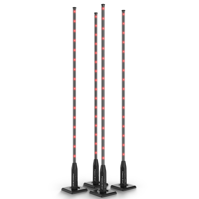 Chauvet DJ Freedom Stick X4 RGB LED Pack - New