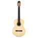 Cordoba C1M Nylon String Acoustic Guitar - Full Size - New