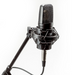 ART C2 Large-diaphragm FET Condenser Microphone