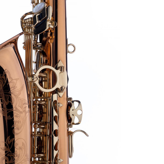 Schagerl A-2B Superior Alto Saxophone - Bronze