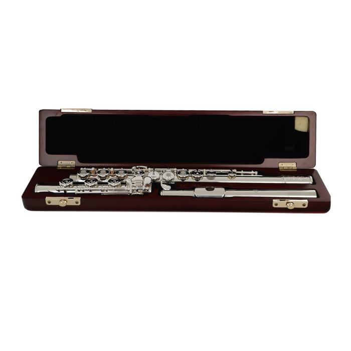 Di Zhao DZ801BOF (700 Series) Solid Silver Flute - Offset G, B Foot