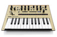 Korg monologue Monophonic Analogue Synthesizer - Gold - New