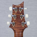 PRS Wood Library DGT Electric Guitar - Private Stock Goldstorm Fade Finish - CHUCKSCLUSIVE - #240388859