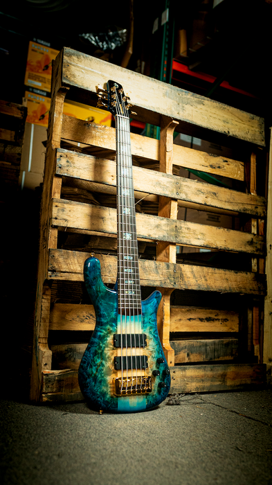 Spector USA Custom NS-6XL 6-String Bass Guitar - Desert Island Gloss chuckfam.shop's Exclusive - New