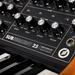 Moog Subsequent 25 Analog Synthesizer - Preorder - New