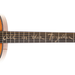 Breedlove Jeff Bridges Signature Concert Copper E Acoustic Guitar - New